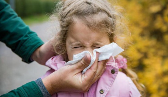 Polen alerjisini nasıl anlayabilirsiniz ?